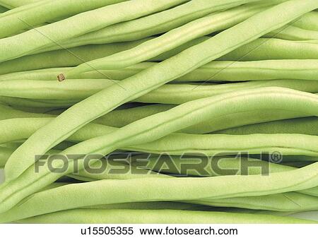 Full Frame, Indoor, Large Group Of Objects View Large Photo Image Stock Photography - Full Frame, Indoor, Large Group Of Objects. Fotosearch