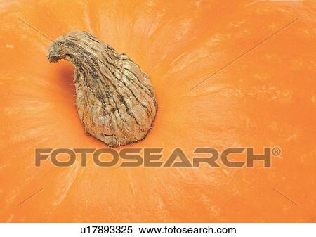 Full Frame, Indoor, One Object, Part Of View Large Photo Image Stock Photography - Full Frame, Indoor, One Object, Part Of. Fotosearch