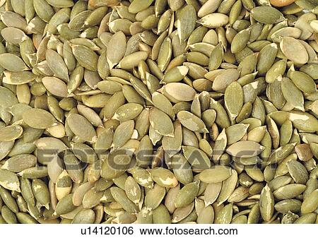Stock Photograph - Full Frame, Large Group Of Objects, Outdoor. Fotosearch