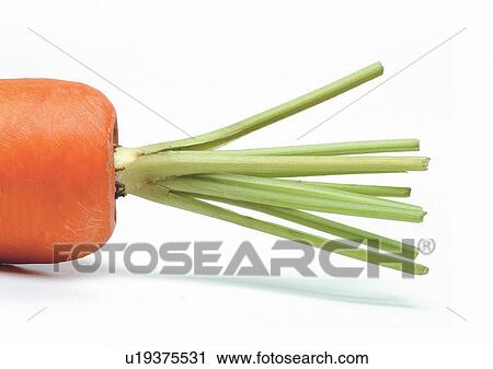 Indoor, One Object, Part Of View Large Photo Image Stock Image - Indoor, One Object, Part Of. Fotosearch