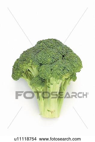 Picture - Indoor, One Object. Fotosearch