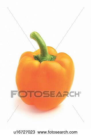 Stock Image - Indoor, One Object, Still Life. Fotosearch