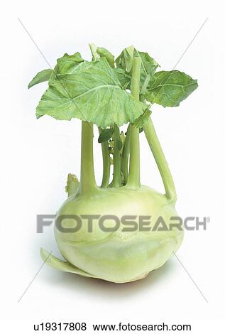 Indoor, One Object, Still Life View Large Photo Image Stock Photo - Indoor, One Object, Still Life. Fotosearch