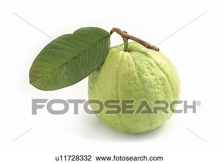 Stock Image - Indoor, One Object. Fotosearch