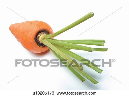 Indoor, One Object View Large Photo Image Stock Image - Indoor, One Object. Fotosearch