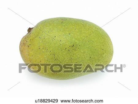 Stock Photo - Indoor, One Object. Fotosearch