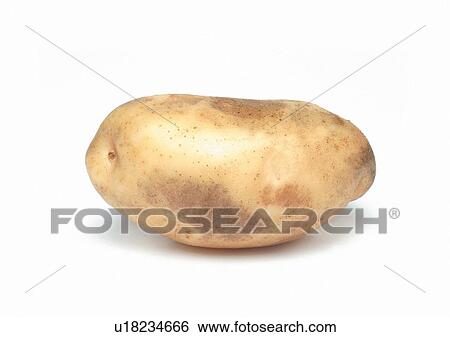 Stock Photograph - Indoor, One Object. Fotosearch