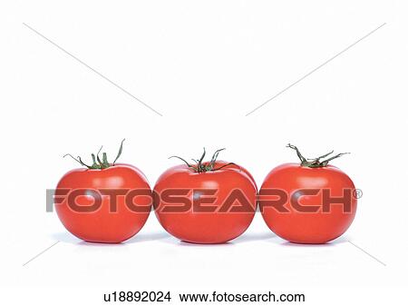 Picture - Indoor, Still Life. Fotosearch