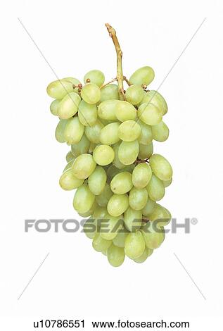 Indoor, Still Life View Large Photo Image Stock Image - Indoor, Still Life. Fotosearch