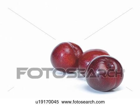 Indoor View Large Photo Image Stock Photography - Indoor. Fotosearch