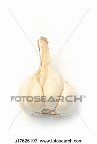 One Object, Still Life, Group Of Objects View Large Photo Image Stock Image - One Object, Still Life, Group Of Objects. Fotosearch