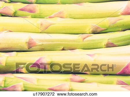 Stock Image - Asparagus, Fresh, Crop, Close-Up, Arrangement. Fotosearch