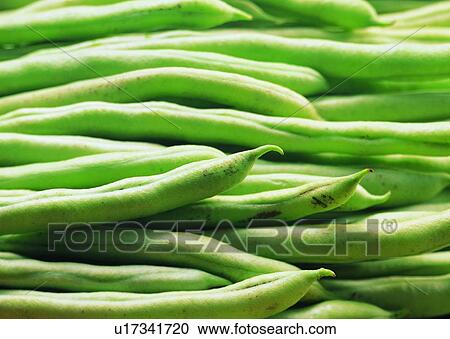 Stock Image - Background, Raw, Crop, Large Group Of Objects, Beans, Food as Background, Uncut. Fotosearch