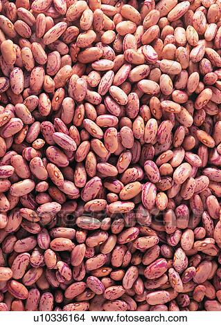 Picture - Beans, Cereal, Close-Up, Crop, Fresh. Fotosearch
