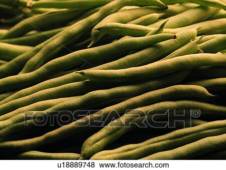 Beans, Uncut, Close-Up, Healthy Eating, Raw, Produce View Large Photo Image Stock Photo - Beans, Uncut, Close-Up, Healthy Eating, Raw, Produce. Fotosearch