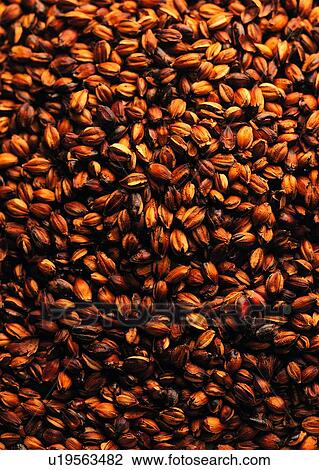 Stock Image - Brown, Cereal, Close-Up, Crop, Fiber. Fotosearch