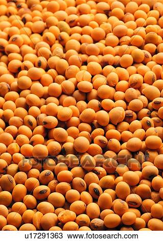 Stock Image - Cereal, Close-Up, Crop, Fresh, Full Frame. Fotosearch
