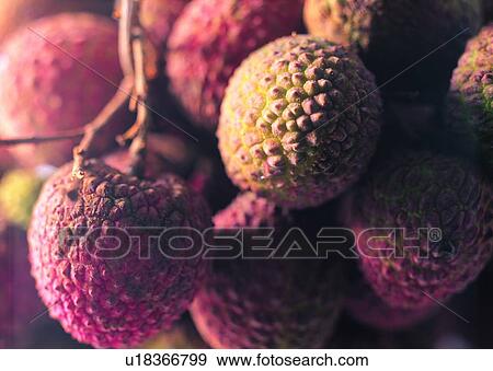 Close-Up, Crop, Cultivated, Fresh, Fruit View Large Photo Image Stock Photo - Close-Up, Crop, Cultivated, Fresh, Fruit. Fotosearch