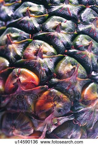 Stock Photograph - Close-Up, Crop, Fresh, Fruit, Heap. Fotosearch