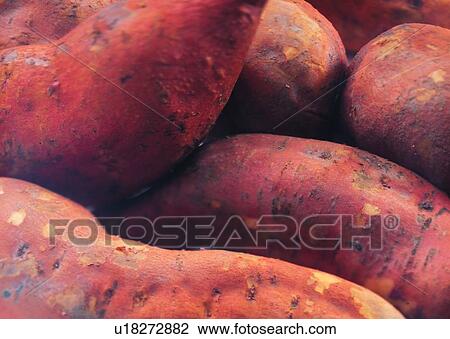 Close-Up, Crop, Fresh, Full Frame, Heap View Large Photo Image Stock Image - Close-Up, Crop, Fresh, Full Frame, Heap. Fotosearch
