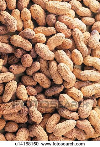 Stock Image - Close-Up, Cultivated, Full Frame, Groundnut, Heap. Fotosearch