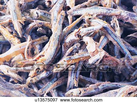 Stock Photo - Close-Up, Dry, Dry Fish, Fish, Full Frame. Fotosearch