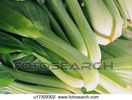 Stock Image - Crop, Vegetable, Close-Up, Fresh, Raw, Leaf. Fotosearch