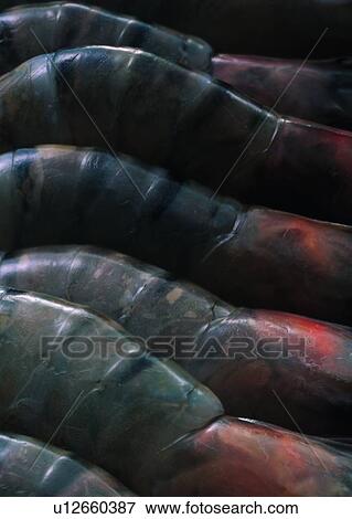 Stock Photo - Fresh, Order, Food as Background, Arrangement. Fotosearch