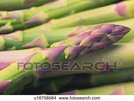 Picture - Full Frame, Fresh, Food And Drink, Background, Uncut, Food, Asparagus. Fotosearch