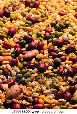 Stock Image - Heap, Fresh, Seed, Wheat, Food And Drink. Fotosearch