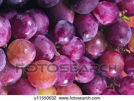 Heap, Ingredient, Crop, Full Frame, Close-Up, Wine Grape View Large Photo Image Stock Image - Heap, Ingredient, Crop, Full Frame, Close-Up, Wine Grape. Fotosearch