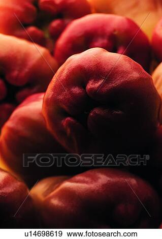 Image Dictionary, Raw, Fresh, Close-Up, Large Group Of Objects, Healthy Eating View Large Photo Image Stock Photo - Image Dictionary, Raw, Fresh, Close-Up, Large Group Of Objects, Healthy Eating. Fotosearch