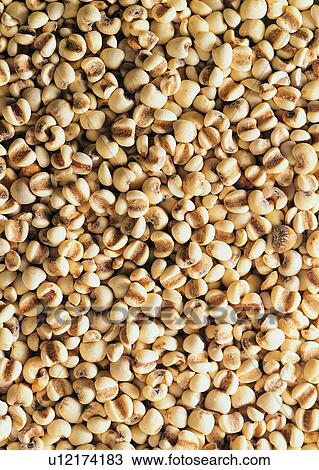 Stock Image - Large Group Of Objects, Natural, Produce, Close-Up, Food And Drink, Lentil, Background. Fotosearch