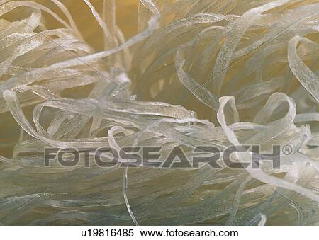 Stock Photography - Large Group Of Objects, White, Heap, Food And Drink. Fotosearch