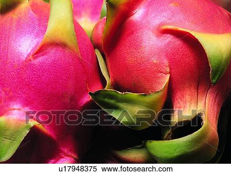 Produce, Pomegranate, Peel, Raw, Close-Up, Food View Large Photo Image Stock Photography - Produce, Pomegranate, Peel, Raw, Close-Up, Food. Fotosearch