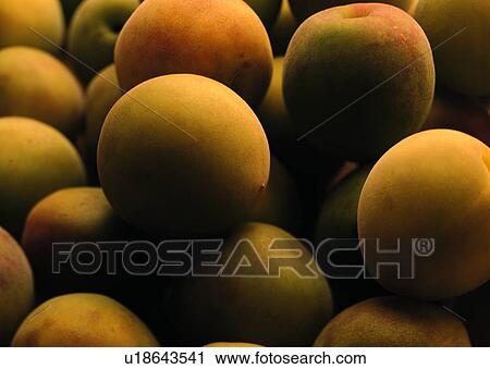 Stock Image - Produce, Uncut, Food And Drink, Crop. Fotosearch