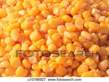 Stock Photo - Raw, Food And Drink, Food as Background, Corn, Vegetable. Fotosearch