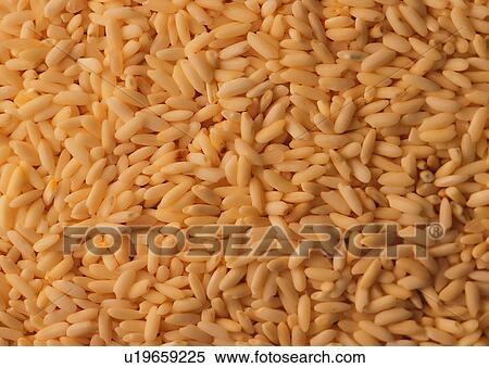 Stock Photography - Rice, Grain, Polished, Food And Drink, Background. Fotosearch