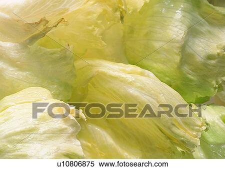 Stock Photography - Uncut, Raw, Healthy Eating, Natural, Salad, Food And Drink. Fotosearch