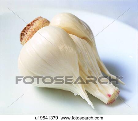 fresh, garlic, plant, vegetable View Large Photo Image Stock Photo - fresh, garlic, plant, vegetable. Fotosearch