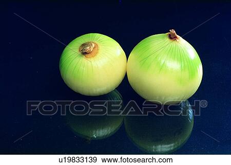 Stock Photo - fresh, onion, vegetable. Fotosearch