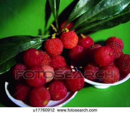 fresh, red, fruit, litchi, litchee View Large Photo Image Stock Image - fresh, red, fruit, litchi, litchee. Fotosearch