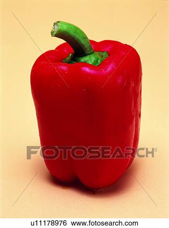 fresh, red pepper, vegetable, red View Large Photo Image Stock Photograph - fresh, red pepper, vegetable, red. Fotosearch
