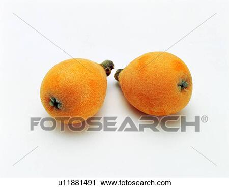 Stock Image - fresh, yellow, fruit, loquat, its fruit. Fotosearch