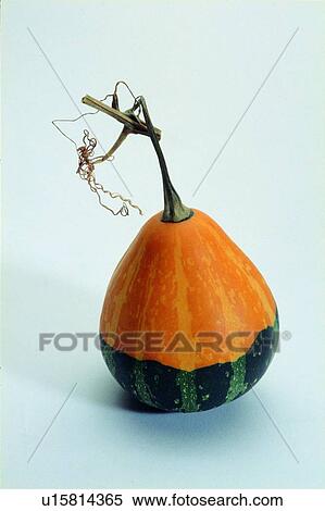 Stock Photography - fresh, yellow, pumpkin, fruit. Fotosearch