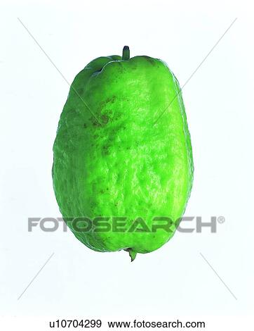 Stock Photo - fruit, fresh, green, quava. Fotosearch