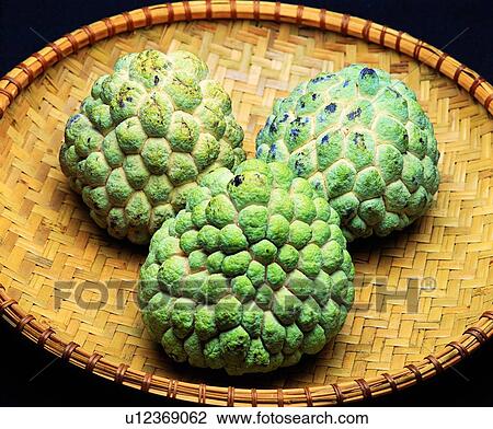 Stock Image - fruit, fresh, green, sakya. Fotosearch
