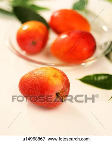fruit, fresh, jujube View Large Photo Image Stock Photo - fruit, fresh, jujube. Fotosearch