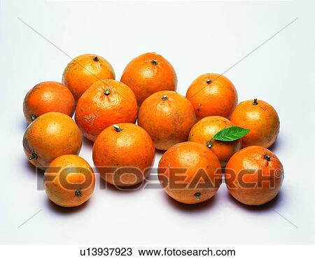 fruit, fresh, orange View Large Photo Image Stock Image - fruit, fresh, orange. Fotosearch