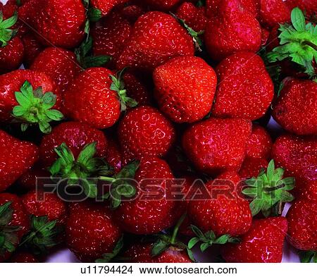 fruit, fresh, red, strawberry, sweet, sour View Large Photo Image Picture - fruit, fresh, red, strawberry, sweet, sour. Fotosearch